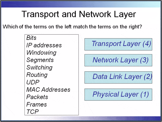 Transport and Network Layer