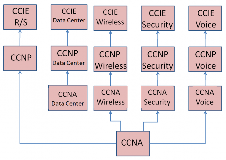 Ccnp guide. CCNA CCNP. Сертификация Cisco. CCIE Cisco. CCNA Certification.